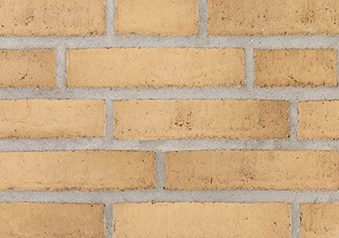 RT 474 Yellow/brown Torino DKNF